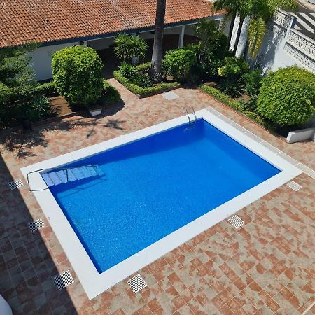 Estudio Brillante, Confortable Y Agradable Пуэрто-де-ла-Крус Экстерьер фото